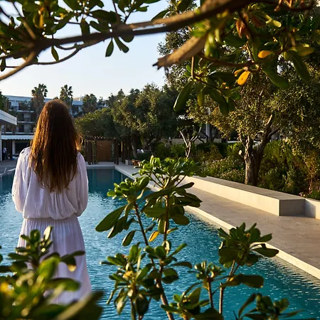 알미라 5* 파포스